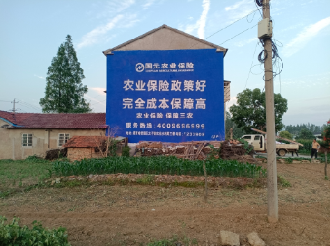 屏边墙体广告为何受追捧？